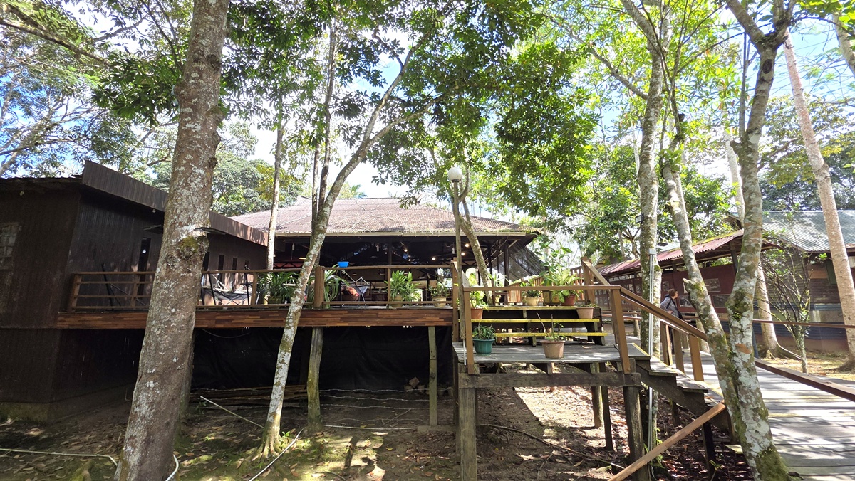 Bilit Rainforest Lodge - Kohti avaraa maailmaa