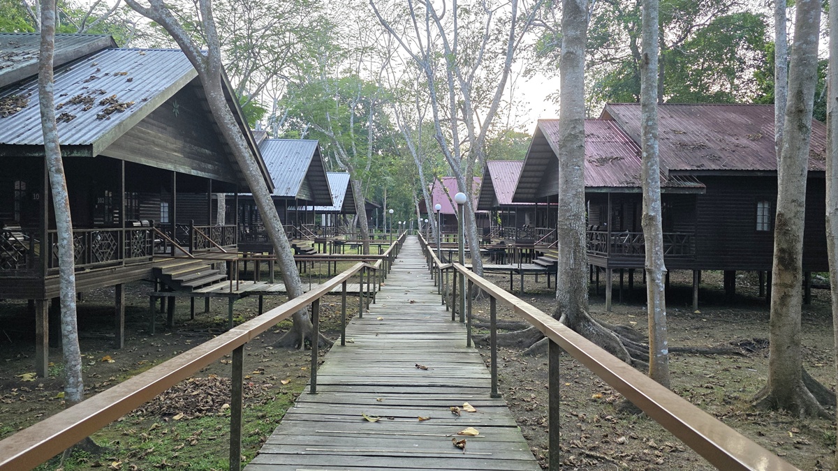 Bilit Rainforest Lodge Sandakan - Kohti avaraa maailmaa