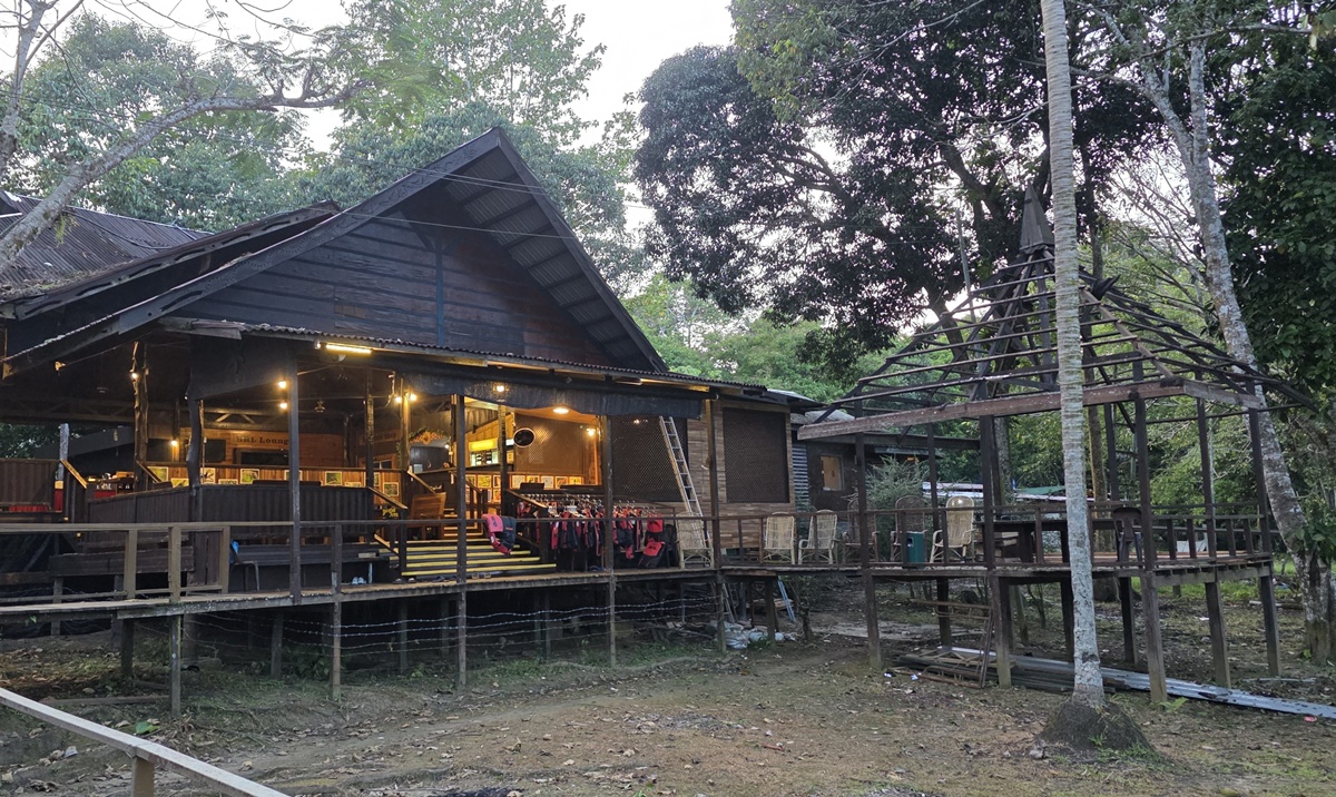 Bilit Rainforest Lodge - Kohti avaraa maailmaa