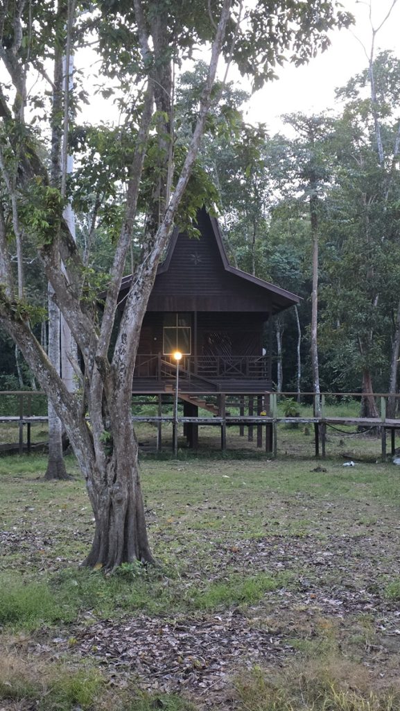 Bilit Rainforest Lodge - Kohti avaraa maailmaa