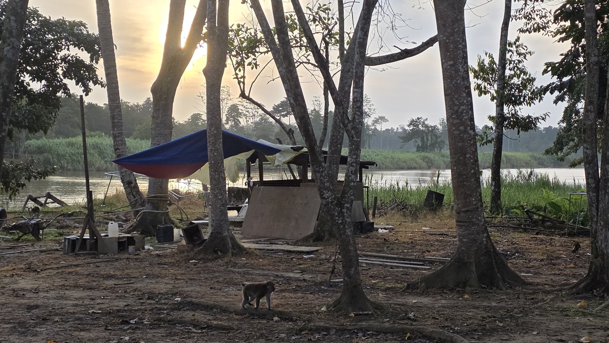 Bilit Sandakan -Kohti avaraa maailmaa