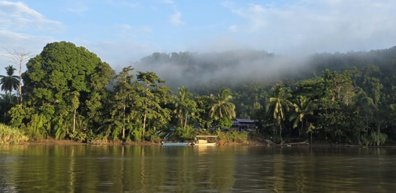 Kinabatangan - Kohti avaraa maailmaa