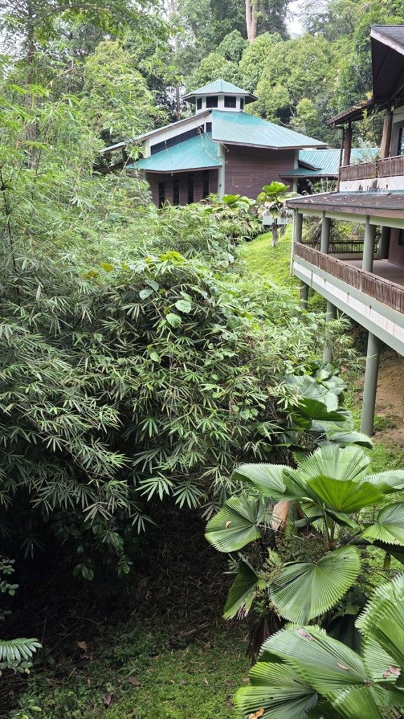 Keruing Cafe Sandakan