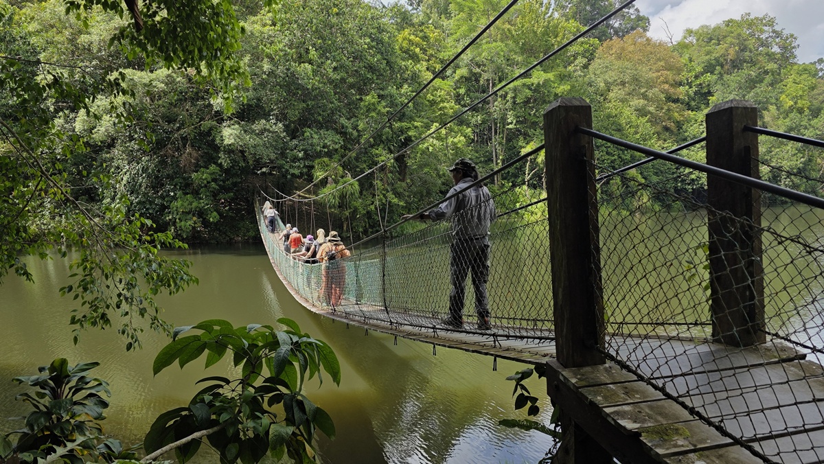 Rainforest Discovery Centre Sandakan