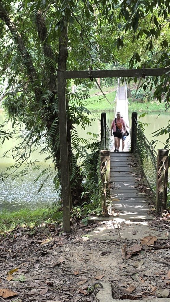 Rainforest Discovery Centre Sandakan