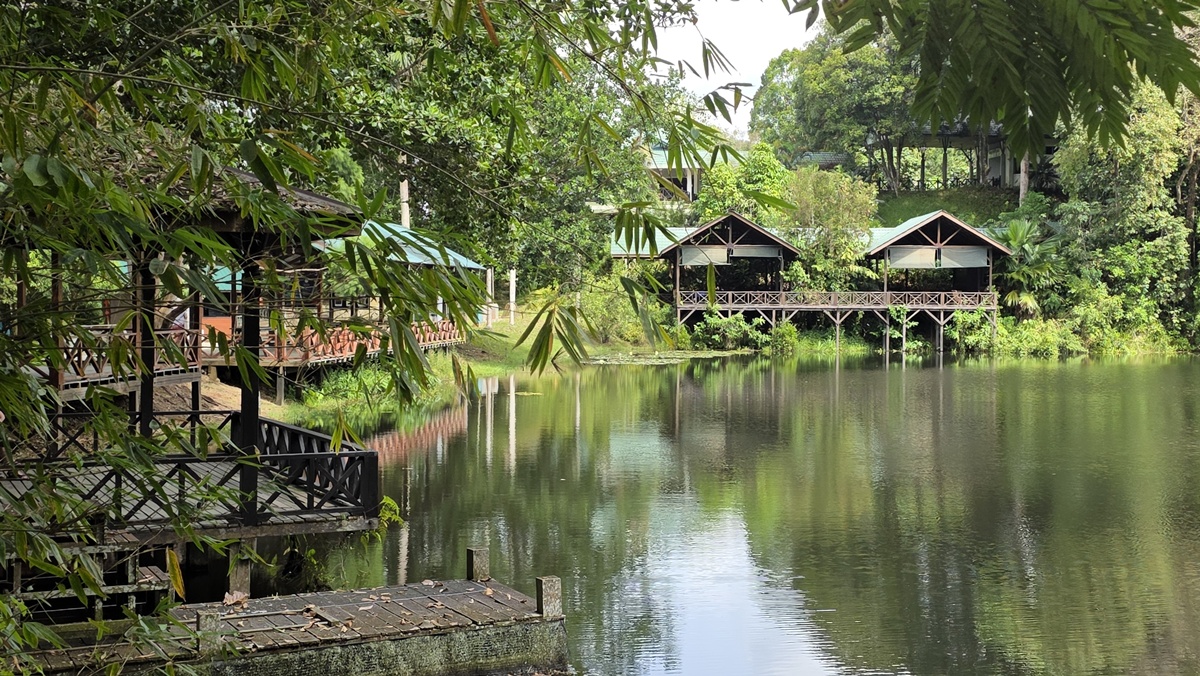 Rainforest Discovery Centre Sandakan