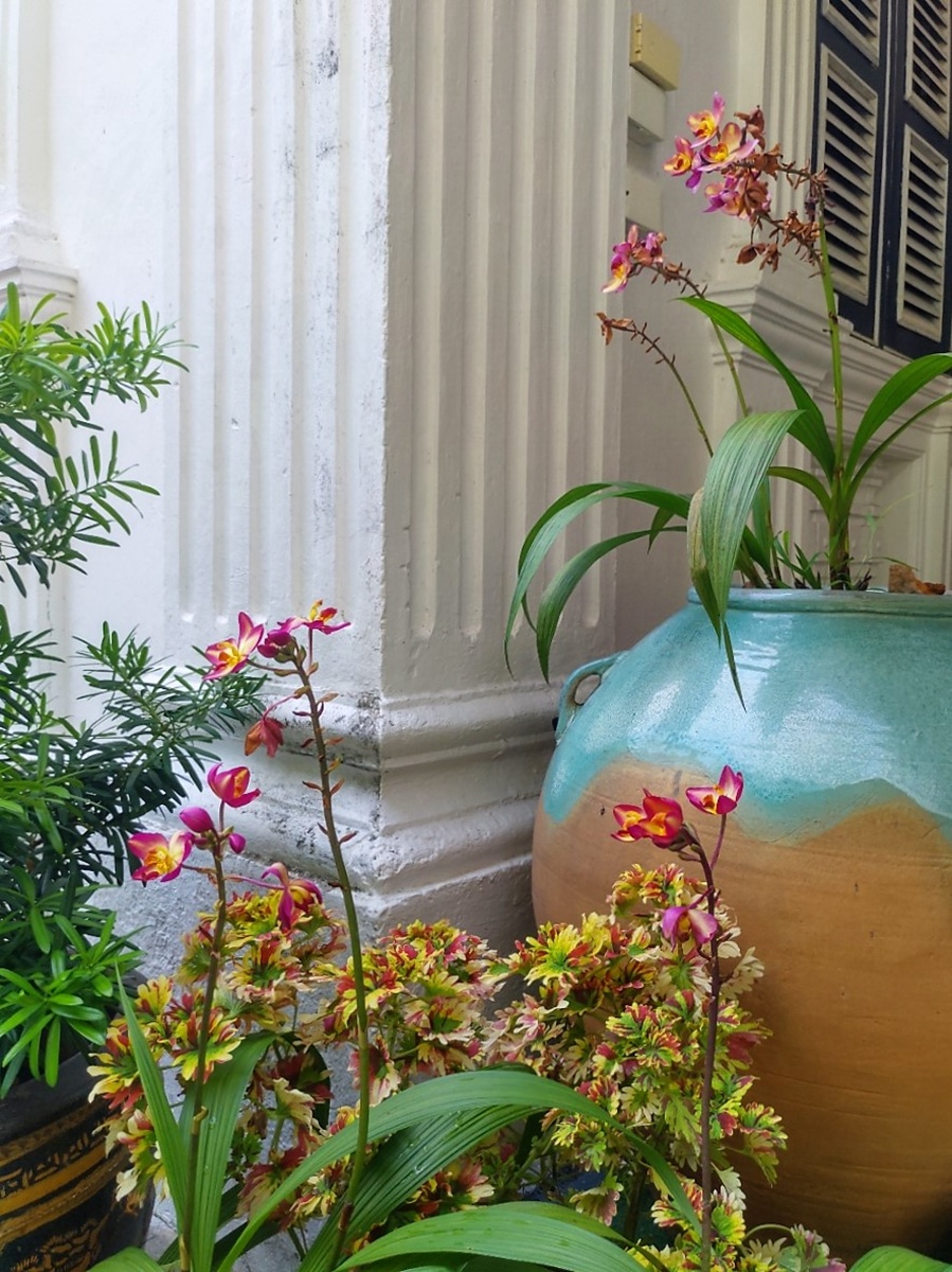 Chinpracha House