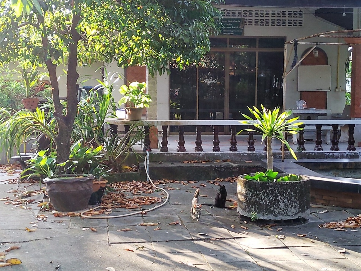 Wat Mongkol Wararam