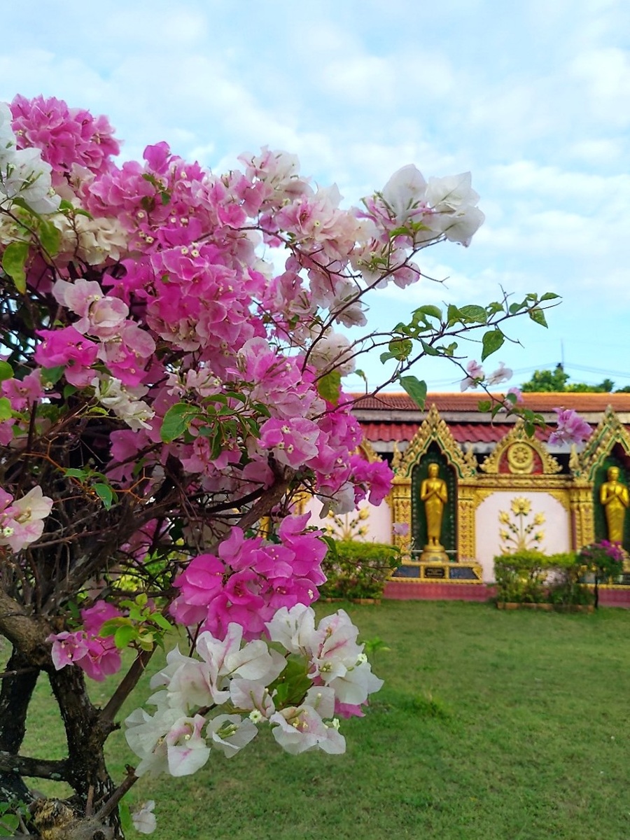 Wat Mongkol Wararam