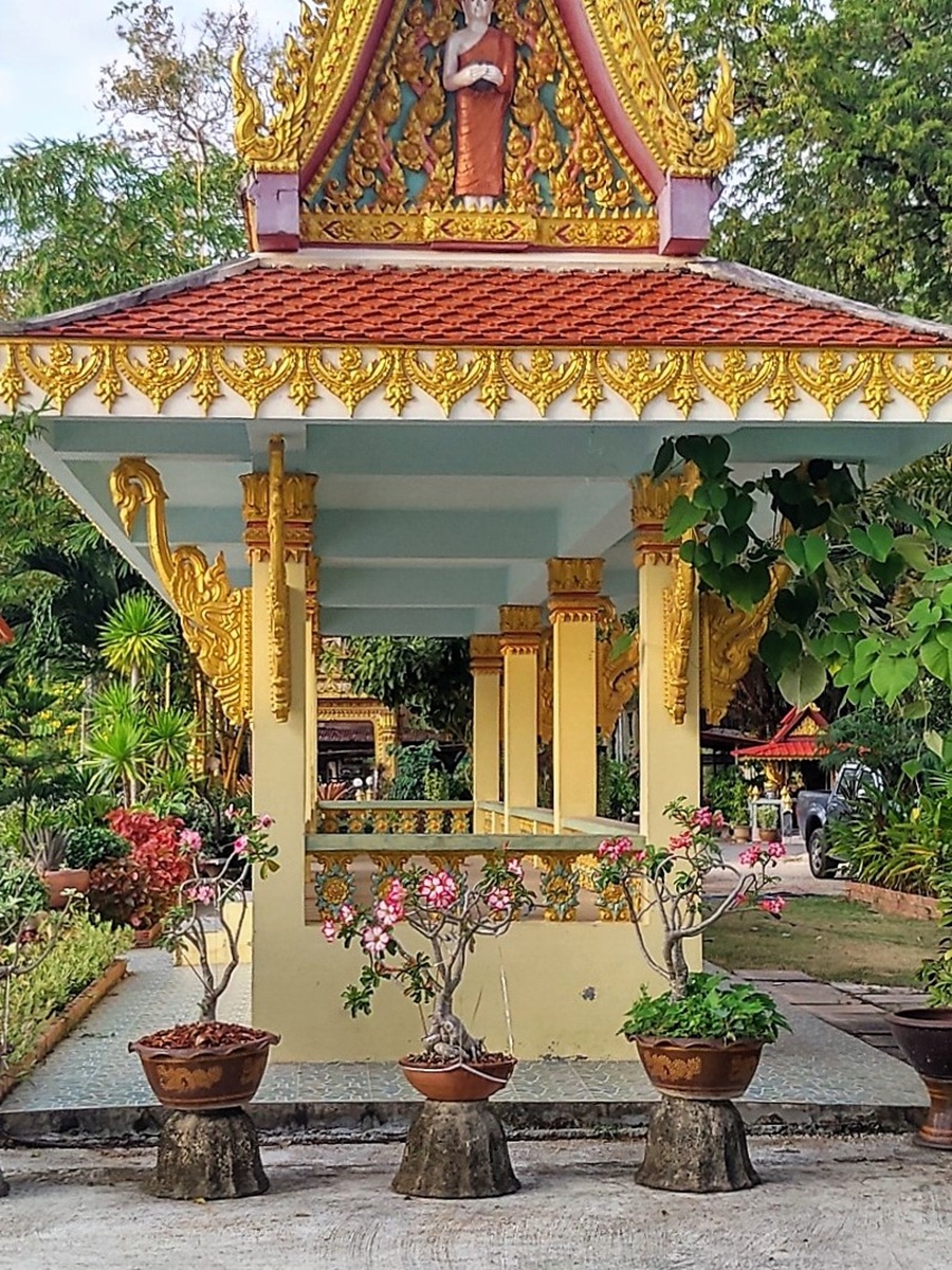 Bonsai Wat Mongkol Wararam