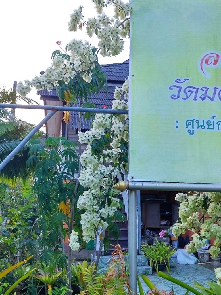 Wat Mongkol Wararam