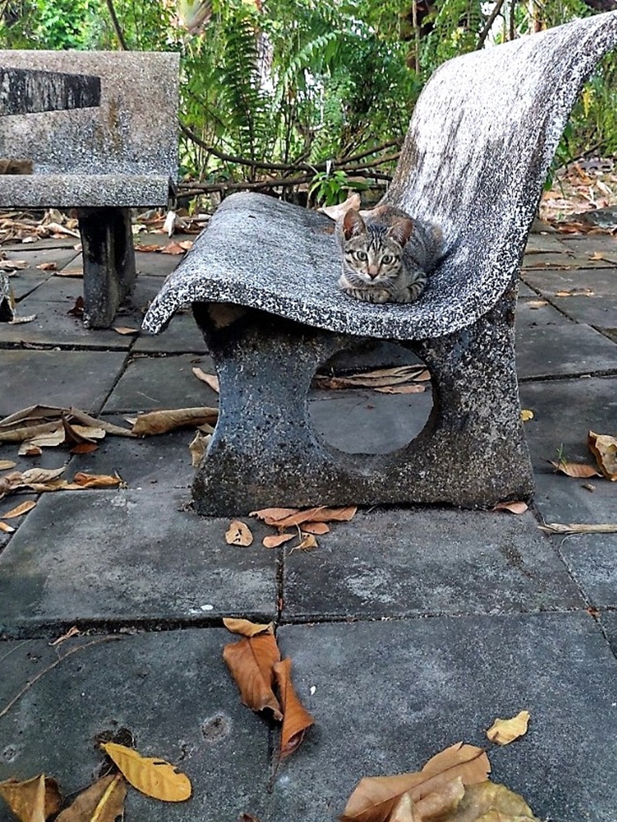 Wat Mongkol Wararam