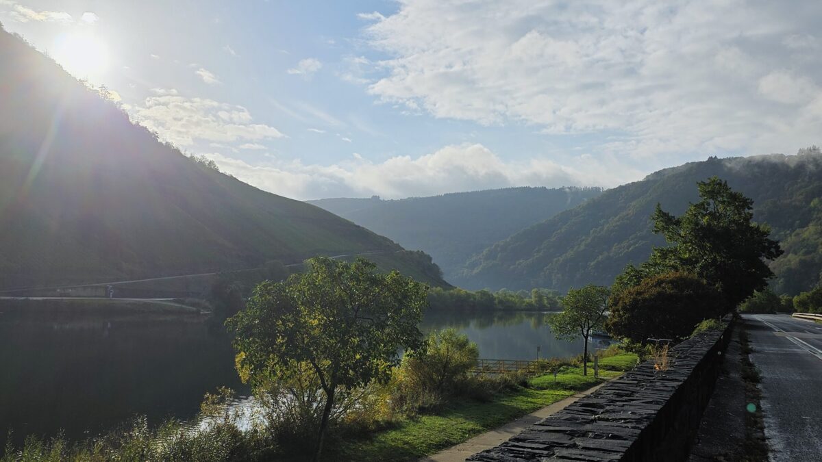 Mosel
